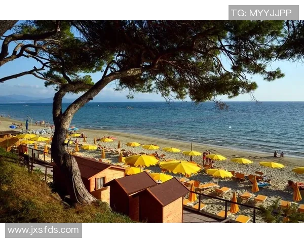 探索KSG小屿的独特魅力与自然风光，感受海岛生活的宁静与美好